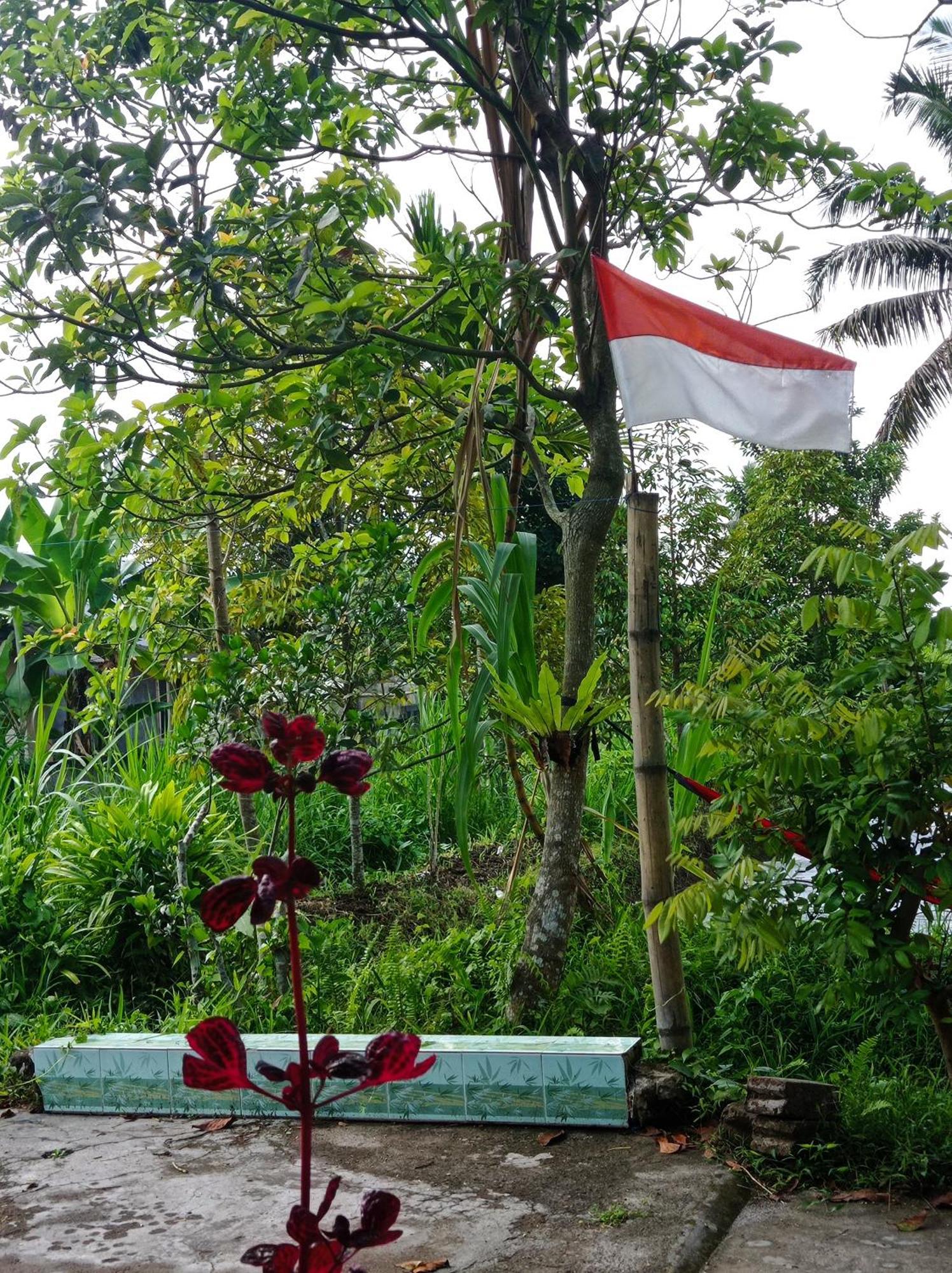 Eltari Homestay Tetebatu Quarto foto